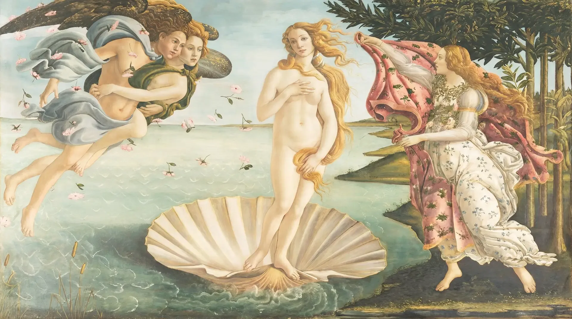 Motiva Preservé Breast Augmentation